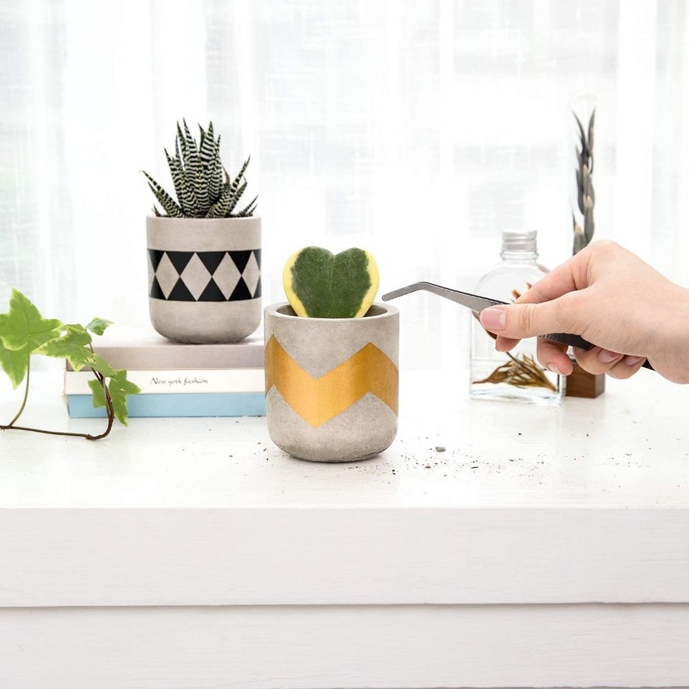 🌻NEW🌻 Modern Farmhouse Succulent Plant Pots - Picture 6 of 8
